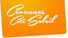 Professionnels du tourisme en Sud-Cévennes